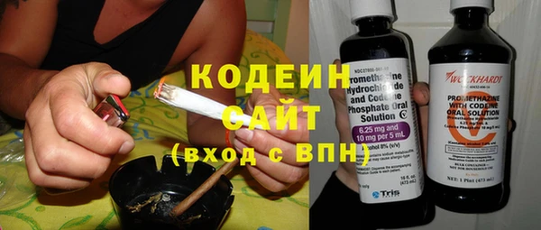 индика Инта