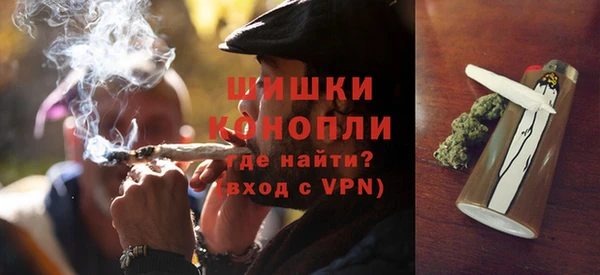 индика Инта