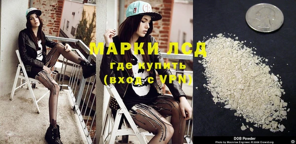 стаф Инсар