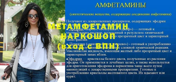 индика Инта