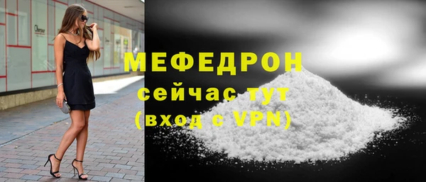 индика Инта