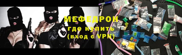 индика Инта
