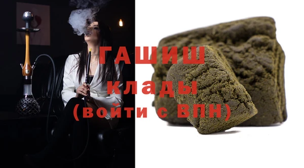 индика Инта