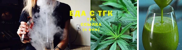 индика Инта