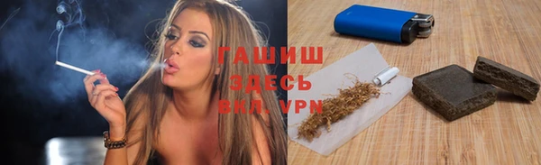 индика Инта