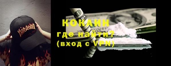 индика Инта