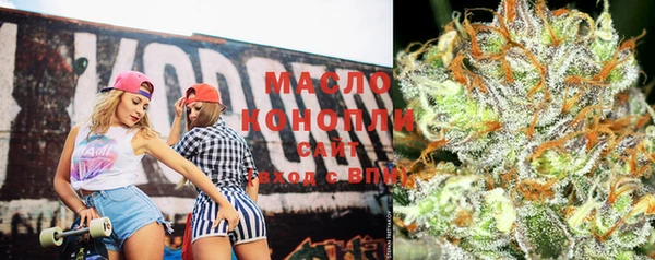 индика Инта