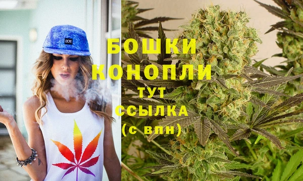 PSILOCYBIN Каменка
