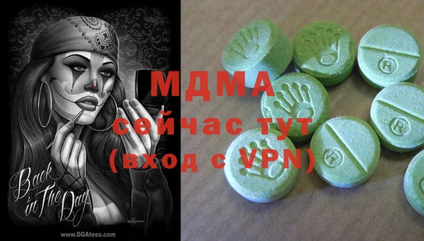 гидра Каменногорск
