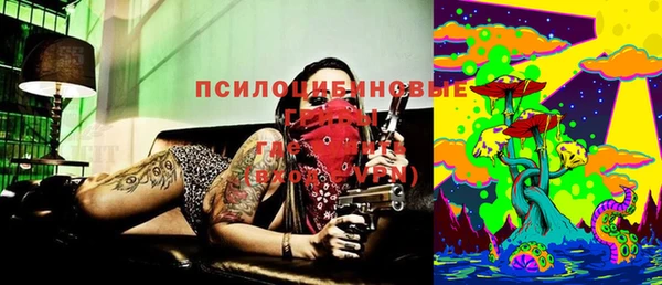 индика Инта