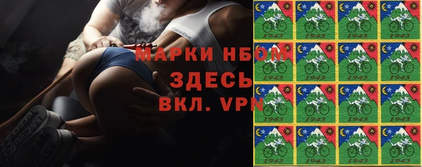 стаф Инсар