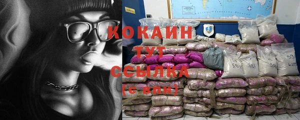 стаф Инсар
