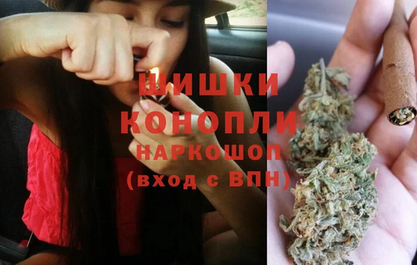 индика Инта