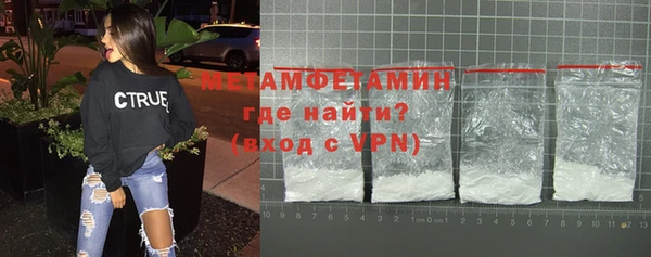 индика Инта