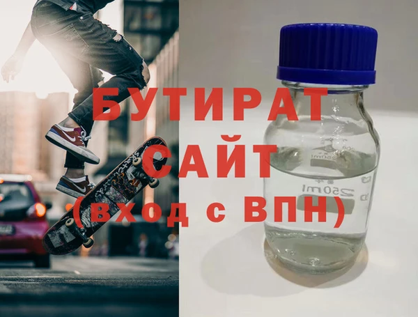 индика Инта