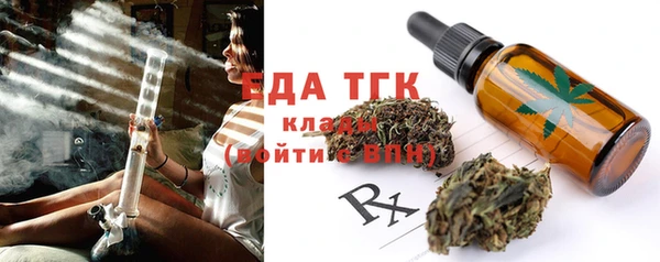 индика Инта